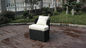 All Weather UV Proof Outdoor Rattan Sofa For Cafe / Beach / Park